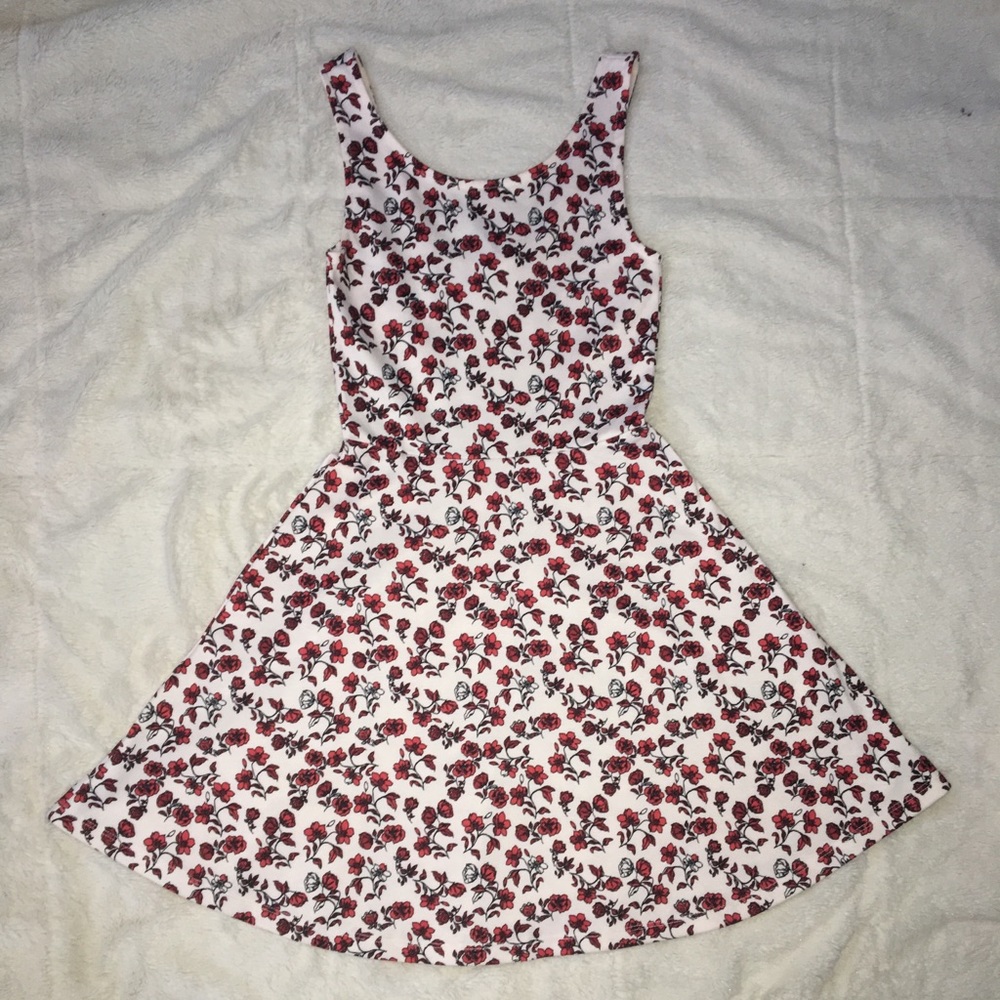 H&M Fit and Flare Dress